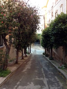 Leroy place, from north-to-south.