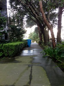 Looking northward on Priest.