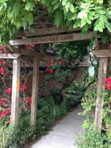 Macondray Lane Jones Gate