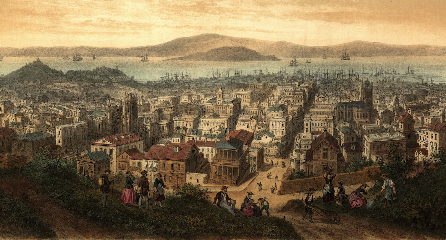 San Francisco Walking Tours - Fern Hill Tours - Panorama